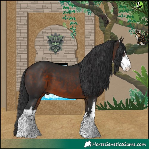 Horse Color:White Spotted Brown 