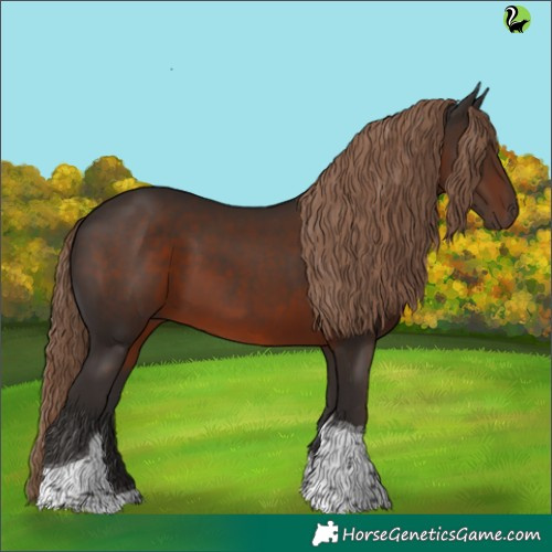Horse Color:Liver Chestnut Tobiano 