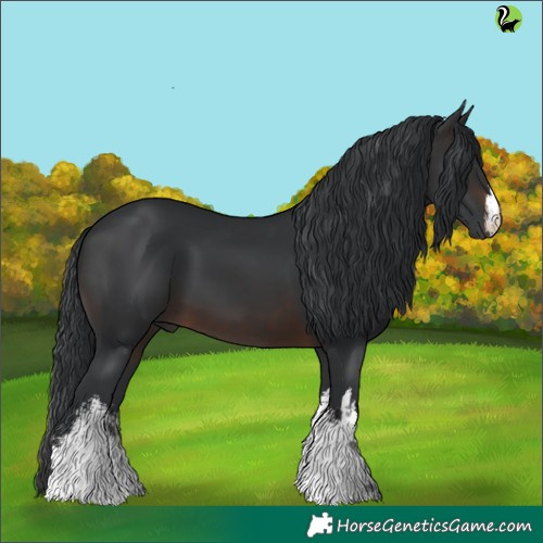 Horse Color:White Spotted Brown 