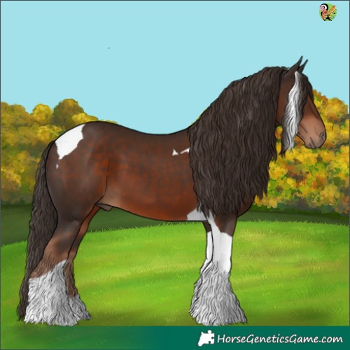 Horse Color:Liver Chestnut Tobiano 
