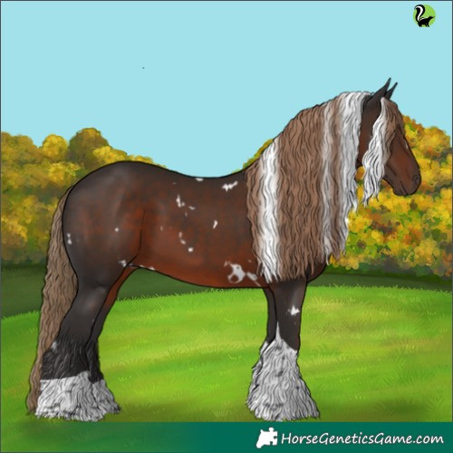 Horse Color:White Spotted Liver Chestnut Tobiano 