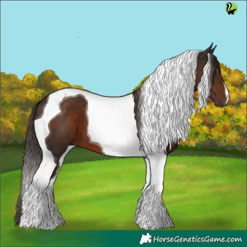 Horse Color:Liver Chestnut Tobiano 