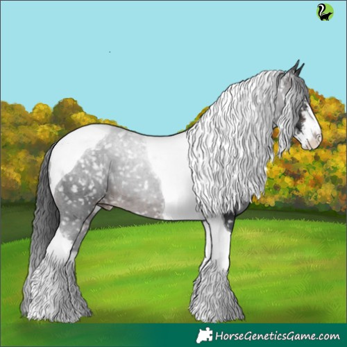Horse Color:White Spotted Brown Tobiano Appaloosa 