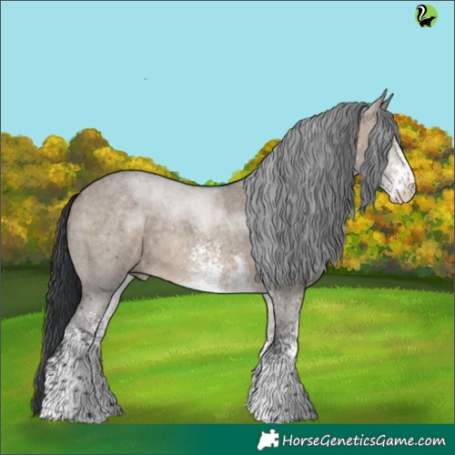 Horse Color:White Spotted Brown Dun 