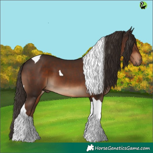 Horse Color:Liver Chestnut Tobiano 