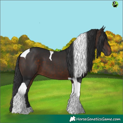 Horse Color:Brown Tobiano 