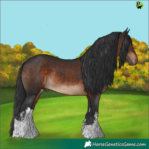 Horse Color:White Spotted Brown Rabicano 