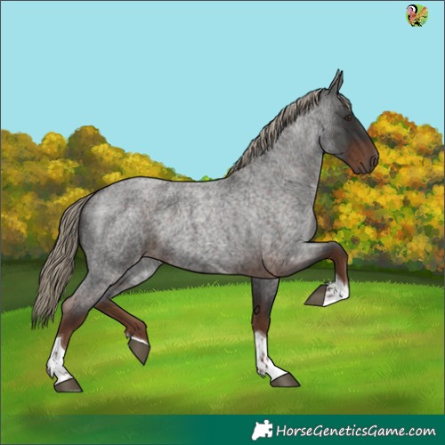 Horse Color:Liver Red Roan Tobiano 