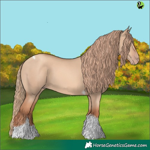 Horse Color:Gold Champagne Dun Tobiano 