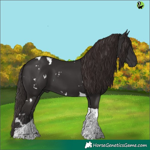 Horse Color:White Spotted Liver Chestnut Tobiano 