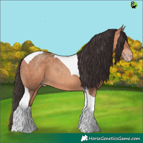 Horse Color:Amber Champagne Tobiano 