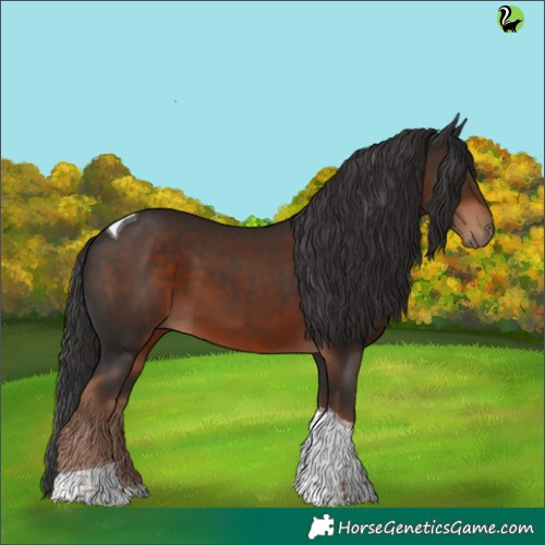 Horse Color:Liver Chestnut Tobiano 