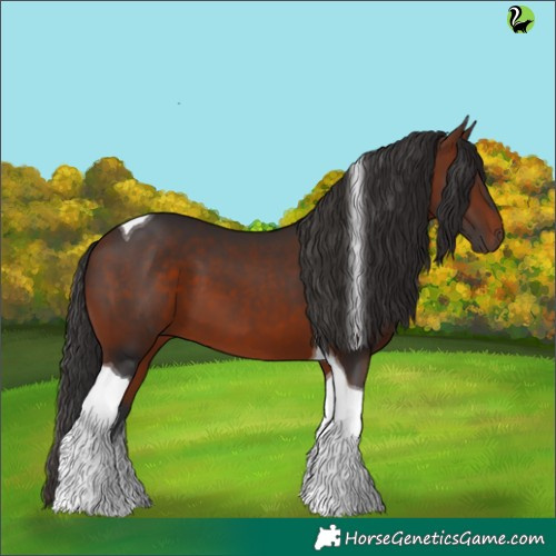 Horse Color:Brown Tobiano 