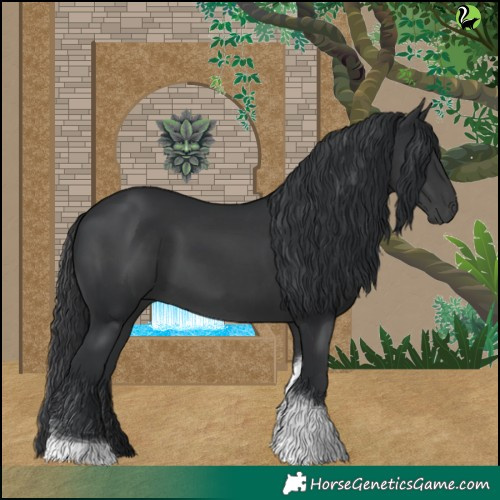 Horse Color:Black Tobiano 