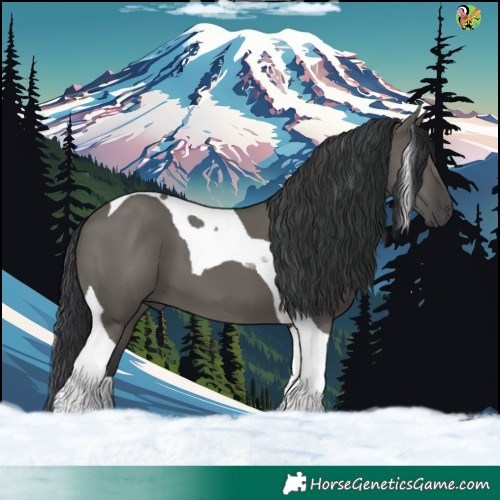 Horse Color:Grullo Tobiano 