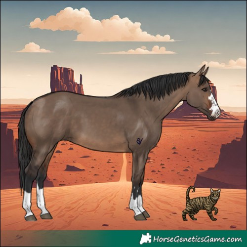 Horse Color:Brown Dun 