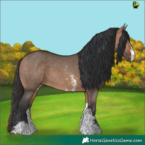 Horse Color:Bay Dun Sabino 