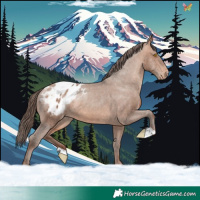 Horse Color:Sable Champagne Varnish Rabicano
