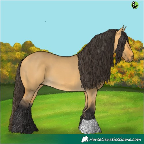 Horse Color:Buckskin Dun
