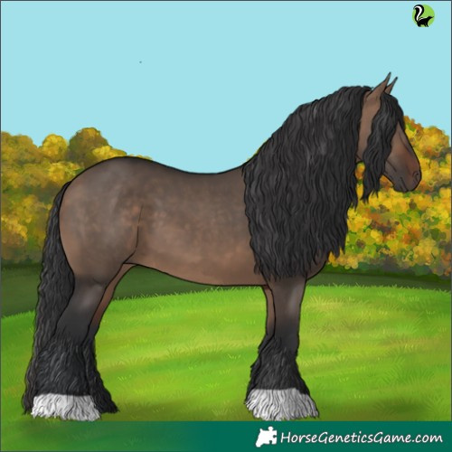 Horse Color:Brown Dun 