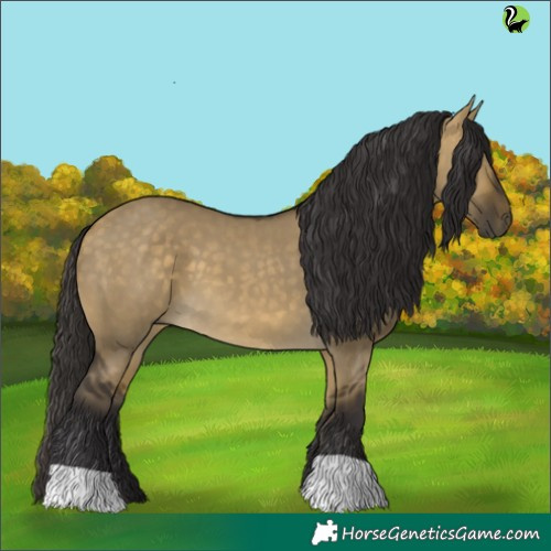 Horse Color:Buckskin Dun 
