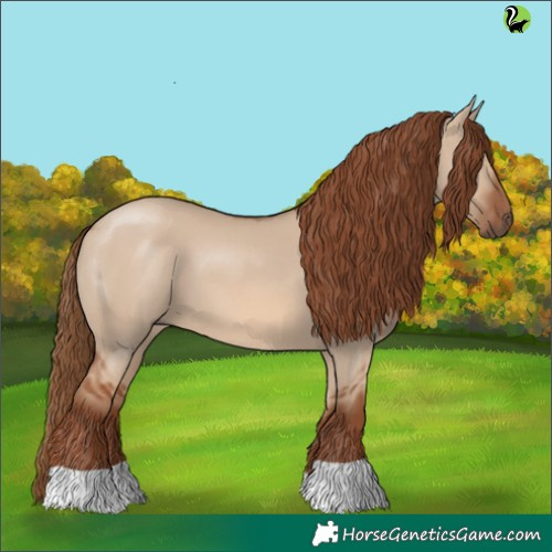 Horse Color:Red Dun 