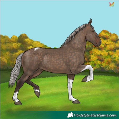 Horse Color:Silver Brown Dun Tobiano 