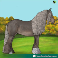 Horse Color:Silver Black 