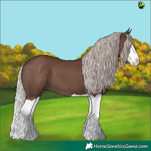 Horse Color:Silver Black Splash 