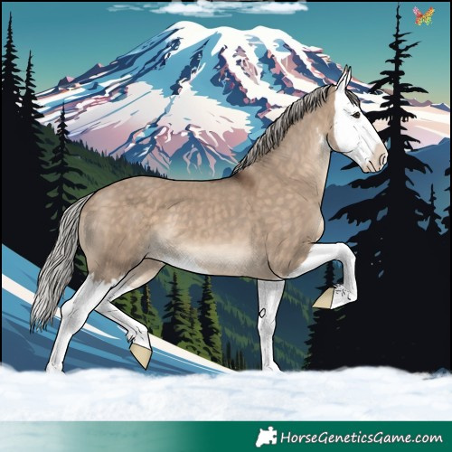 Horse Color:White Spotted Silver Brown Dun Splash 