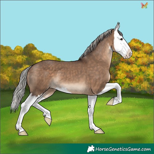 Horse Color:White Spotted Silver Brown Dun Splash 