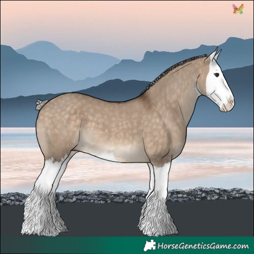 Horse Color:White Spotted Silver Brown Dun Splash 