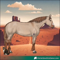 Horse Color:Red Dun