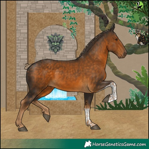 Horse Color:Chocolate Palomino Tobiano 