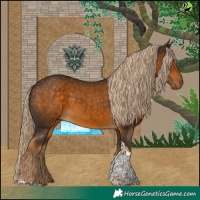 Horse Color:Chocolate Palomino Tobiano