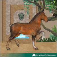 Horse Color:Chocolate Palomino Tobiano