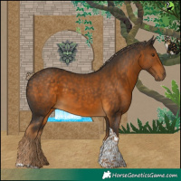 Horse Color:Chocolate Palomino Tobiano
