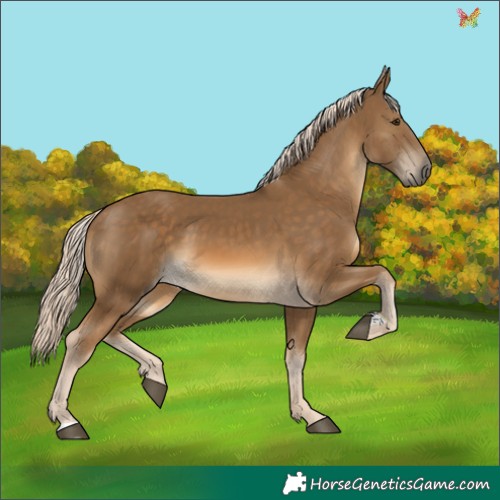 Horse Color:Chocolate Palomino