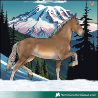 Horse Color:Chocolate Palomino 