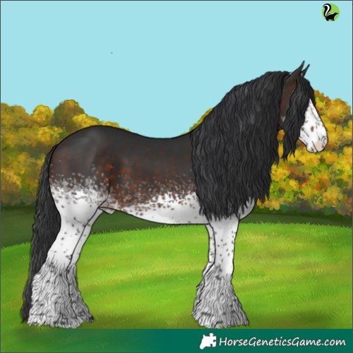 Horse Color:White Spotted Brown Tobiano 
