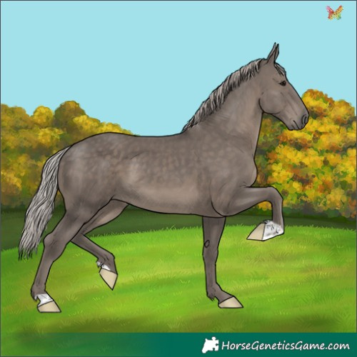 Horse Color:Silver Black 