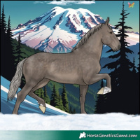 Horse Color:Silver Black 