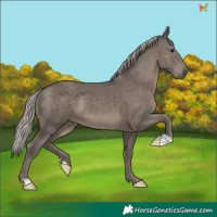 Horse Color:Silver Black