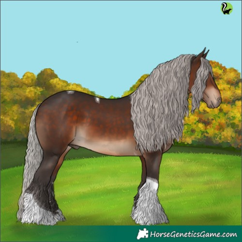 Horse Color:Silver Brown Tobiano 