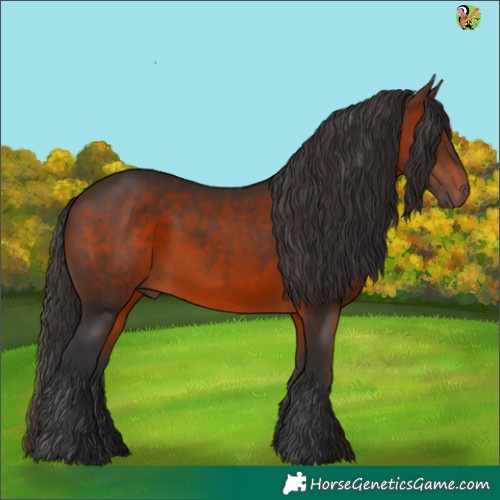 Horse Color:Brown 