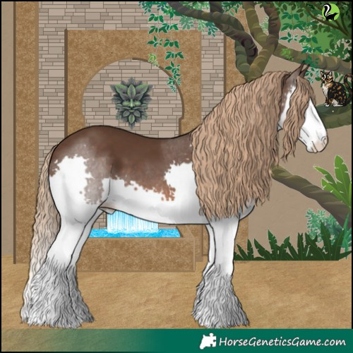 Horse Color:Liver Chestnut Splash 