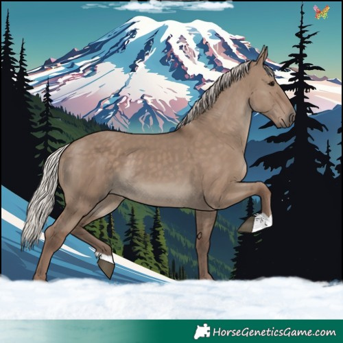 Horse Color:Silver Grullo 