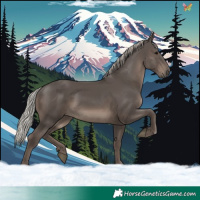Horse Color:Silver Black 