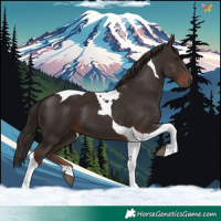 Horse Color:Liver Chestnut Tobiano 