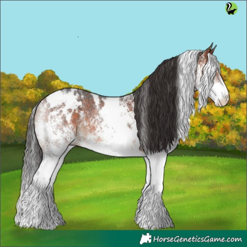 Horse Color:White Spotted Brown 